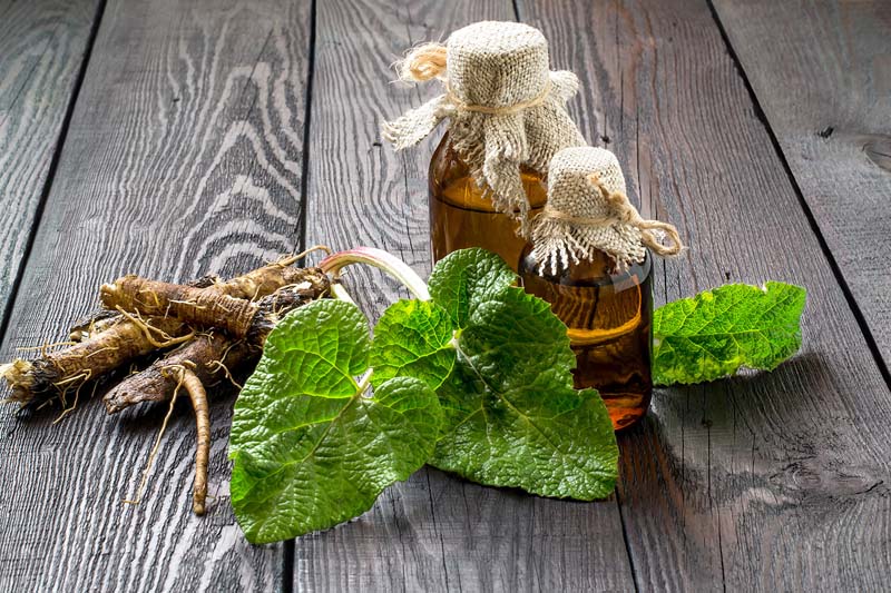 Comment se déroule une séance d'aromathérapie ? Saint-Paul